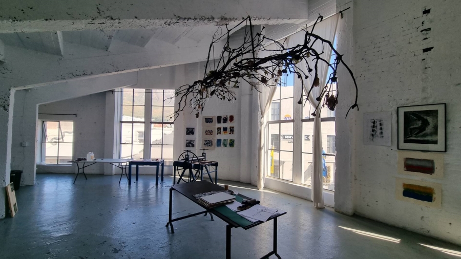 To Let commercial Property for Rent in Observatory Western Cape